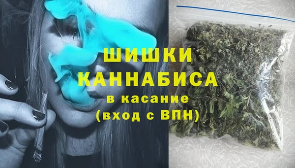 СК Бронницы