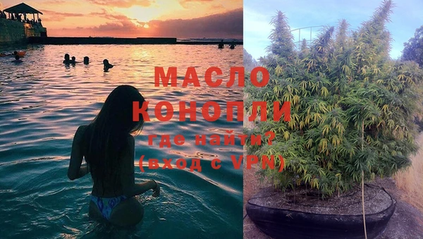 СК Бронницы