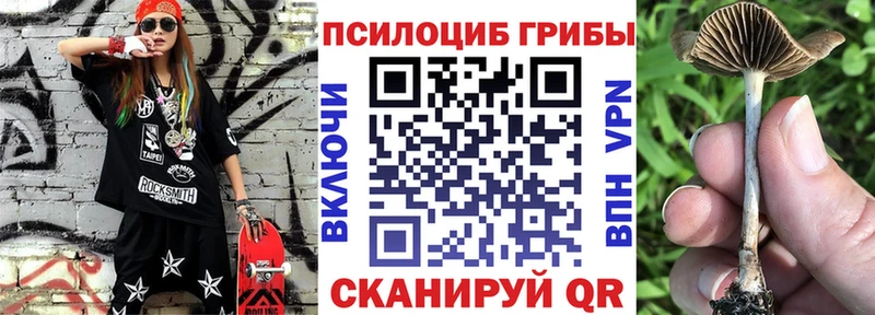 Галлюциногенные грибы Magic Shrooms  Купить закладки  Нижнеудинск 