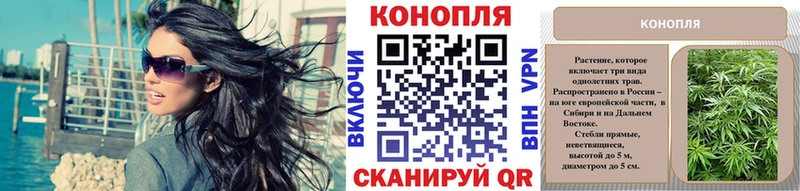 Купить закладки  Нижнеудинск  Шишки марихуана семена 